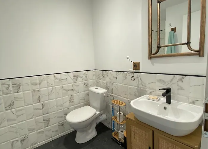 Joli Dependance Intra-muros Διαμέρισμα Lectoure